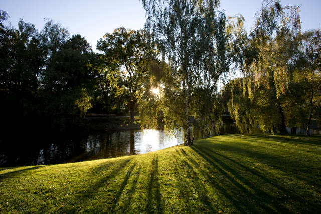 Das Sonnenlicht scheint durch die Bäume und wirft lange Schatten auf eine Wiese am Rande eines ruhigen Flusses in einer Parkanlage.