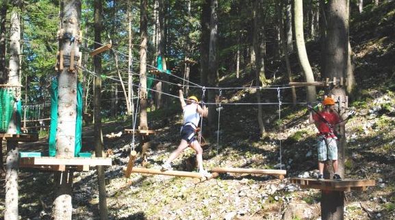 Zwei Personen mit Klettergurten navigieren durch einen Hindernisparcours aus Seilen und Baumstämmen, der zwischen Bäumen in einem Waldgebiet aufgebaut ist.