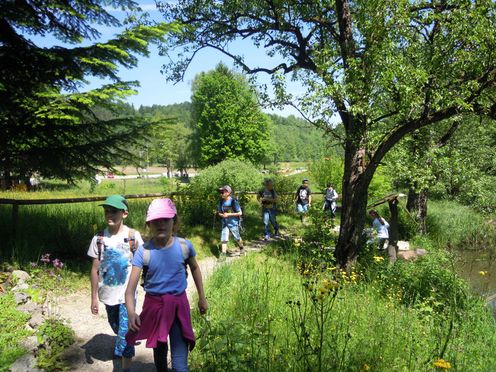Eine Gruppe von Kindern geht an einem sonnigen Tag einen Weg durch einen üppigen, grünen Park entlang, umgeben von Bäumen und Wildblumen.
