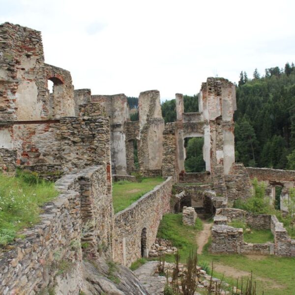 Ruinen einer alten Steinburg mit teilweise noch stehenden Mauern und Bögen, umgeben von Grün und Wald im Hintergrund.