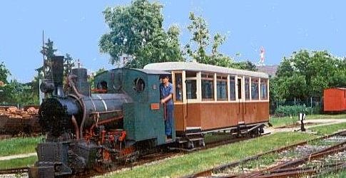 Eine kleine Dampflokomotive zieht einen einzelnen braun-weißen Personenwagen über Schmalspurgleise in einem grasbewachsenen Gebiet, wobei eine Person auf der Lokomotive steht.