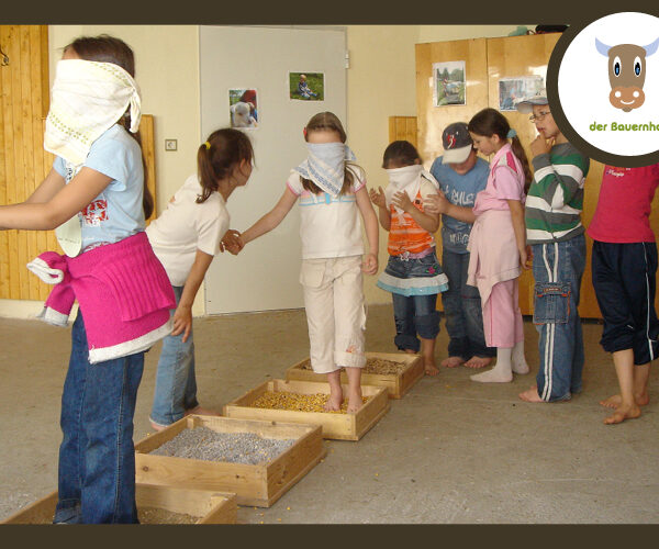 Mehrere Kinder laufen mit verbundenen Augen barfuß über strukturierte Materialien in Kisten, geführt von anderen Kindern, in einem Innenraum. In der rechten oberen Ecke ist ein Kuh-Logo mit dem Schriftzug "der Bauernhof" zu sehen.