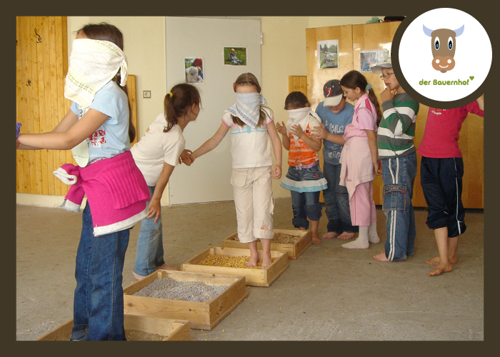 Mehrere Kinder laufen mit verbundenen Augen barfuß über strukturierte Materialien in Kisten, geführt von anderen Kindern, in einem Innenraum. In der rechten oberen Ecke ist ein Kuh-Logo mit dem Schriftzug "der Bauernhof" zu sehen.