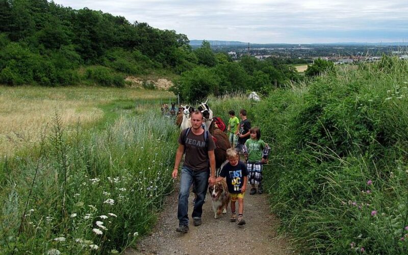 Eine Gruppe von Menschen, darunter Kinder und ein Hund, geht an einem bedeckten Tag einen unbefestigten Weg durch grüne Vegetation entlang.