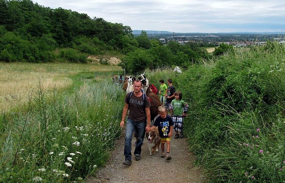 Eine Gruppe von Menschen, darunter Kinder und ein Hund, geht an einem bedeckten Tag einen unbefestigten Weg durch grüne Vegetation entlang.