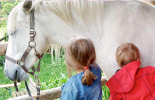 Zwei Kinder, eines in einer blauen und eines in einer roten Jacke, stehen neben einem weißen Pferd an einem Holzzaun im Freien.