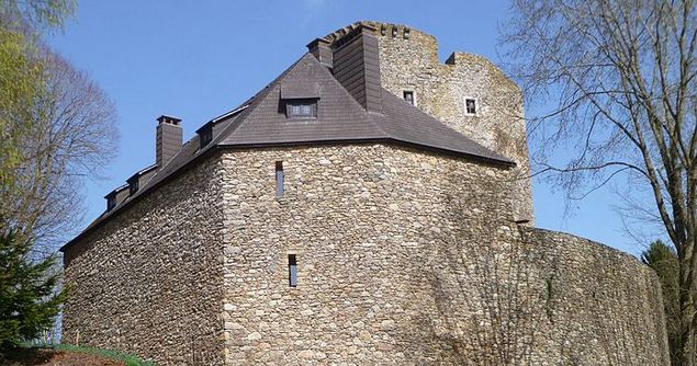 Eine mittelalterliche Steinburg mit schrägen dunklen Dächern und Mauern mit Türmen, umgeben von Bäumen unter einem klaren blauen Himmel.