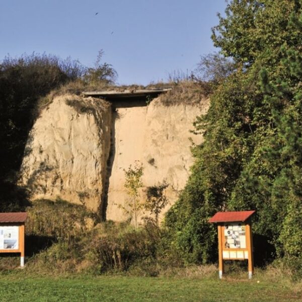 Eine steile, sandige Felswand wird von dichter Vegetation flankiert, mit zwei Informationstafeln auf grasbewachsenem Grund im Vordergrund.