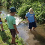 Drei Jungen stehen und spielen am Rand eines seichten Baches, umgeben von Grün und Sonnenlicht.
