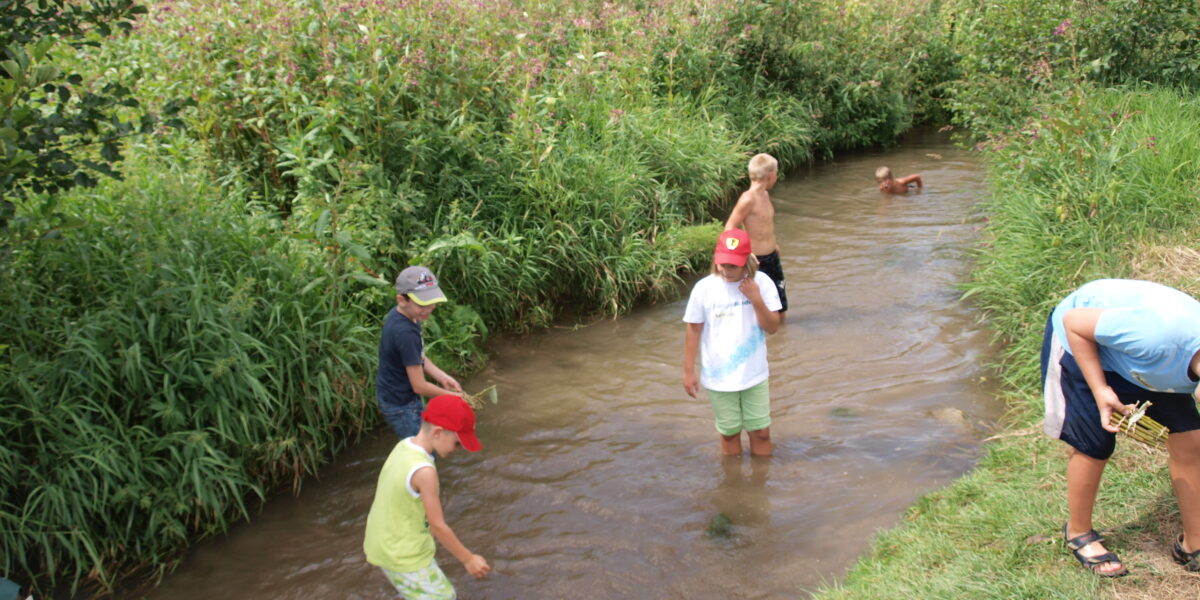 An einem sonnigen Tag stehen und spielen mehrere Kinder in einem flachen, grasbewachsenen Bach, umgeben von grüner Vegetation.