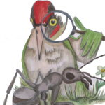 Ein Vogel mit einem Vergrößerungsglas inspiziert eine große Ameise auf dem Boden; im Hintergrund ist eine kleine Blume zu sehen.