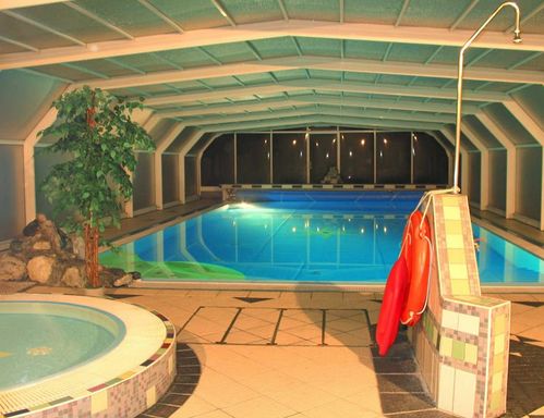 Hallenbad mit gefliestem Whirlpool, künstlicher Bepflanzung, Sicherheitsschwimmer und Kopfbrause unter einer Glasüberdachung.