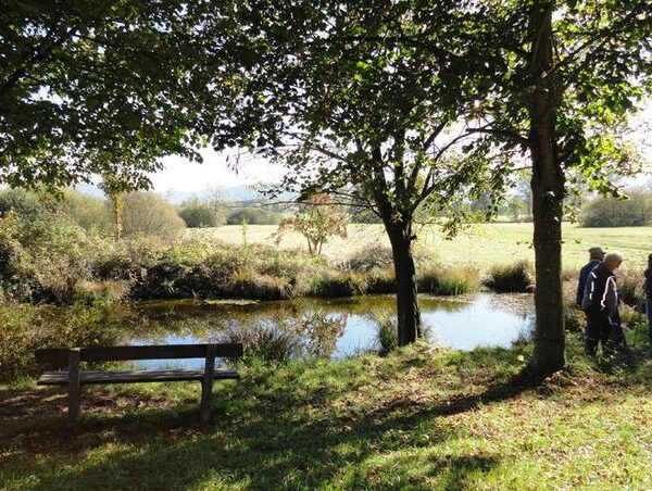 Eine kleine Gruppe von Menschen steht im Schatten von Bäumen in der Nähe eines Teichs, im Vordergrund eine Holzbank und im Hintergrund offene Felder.