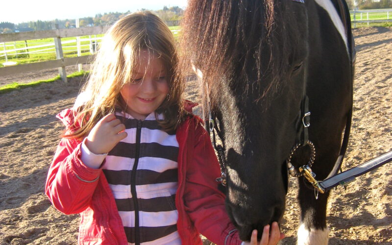 Ein junges Mädchen in einer roten Jacke steht neben einem schwarz-weißen Pferd und streckt dem Pferd in einer sonnigen Umgebung im Freien die Hand zum Schnuppern oder Fressen hin.