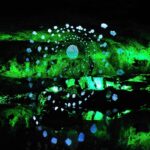 Eine leuchtend grüne Höhlenwand mit einer zentralen kreisförmigen Lichtquelle, umgeben von konzentrischen Ringen aus kleinen blauen Punkten, die ein leuchtendes, abstraktes Muster erzeugen.