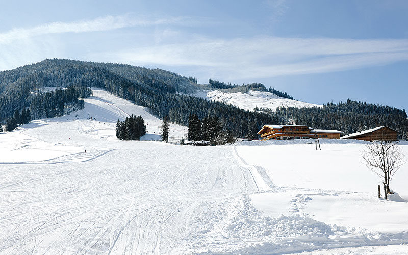 Schneebedeckte Landschaft mit einer Skipiste auf einem Berg, Kiefern und zwei Holzgebäuden unter blauem Himmel.