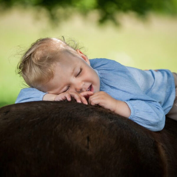 Ein kleines Kind mit hellem Haar und einem blauen Hemd liegt lächelnd und entspannt auf dem Rücken eines dunkelbraunen Pferdes im Freien.