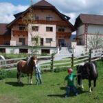 Zwei Kinder stehen auf einer eingezäunten Wiese mit zwei kleinen Pferden vor einem Bauernhaus und anderen Gebäuden unter einem teilweise bewölkten Himmel.