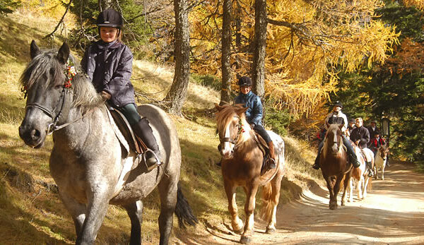 Eine Gruppe von Menschen reitet auf einem Feldweg durch einen Wald mit Herbstlaub.