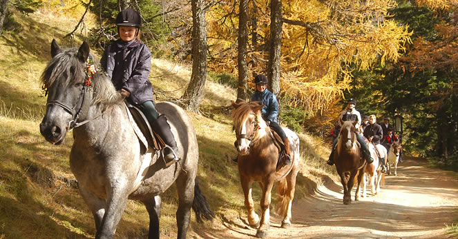Eine Gruppe von Menschen reitet auf einem Feldweg durch einen Wald mit Herbstlaub.
