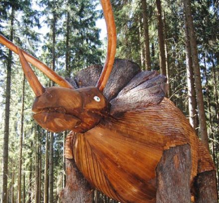 Eine große Holzskulptur eines Triceratops-Dinosauriers steht zwischen hohen Bäumen in einem Waldgebiet.