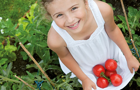 Ein lächelndes Kind in einem weißen Kleid hält mehrere rote Tomaten in seinem Rock, während es in einem Gemüsegarten steht.