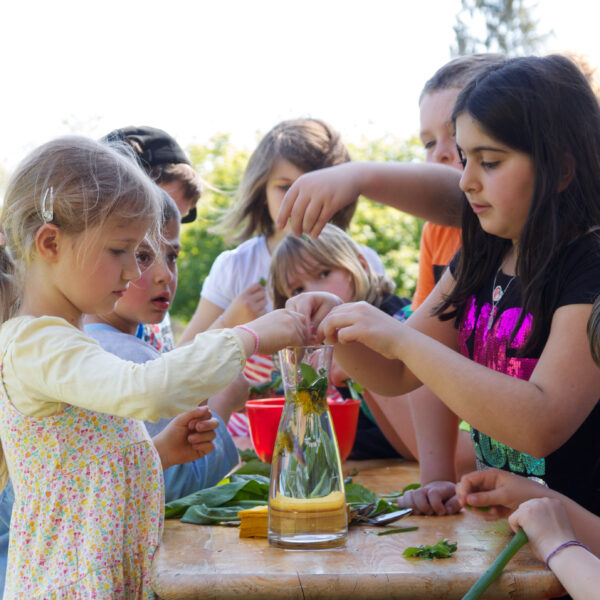 An einem sonnigen Tag versammelt sich eine Gruppe Kinder um einen Tisch im Freien und legt grüne Blätter in einen mit Wasser gefüllten Glasbehälter.
