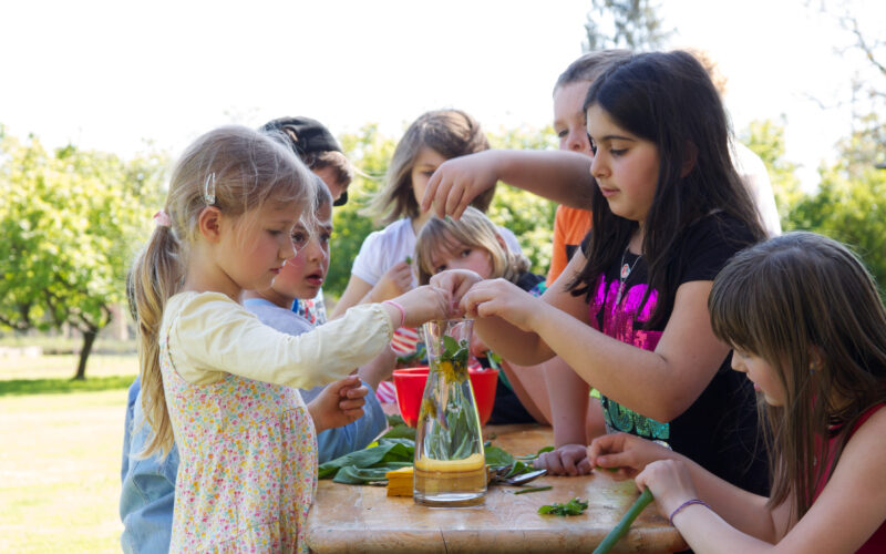 An einem sonnigen Tag versammelt sich eine Gruppe Kinder um einen Tisch im Freien und legt grüne Blätter in einen mit Wasser gefüllten Glasbehälter.