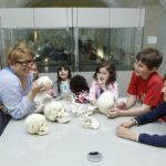 Eine Frau zeigt einer Gruppe von Kindern, die in einem Museum oder Klassenzimmer um einen Tisch mit verschiedenen Schädelmodellen sitzen, ein menschliches Schädelmodell.