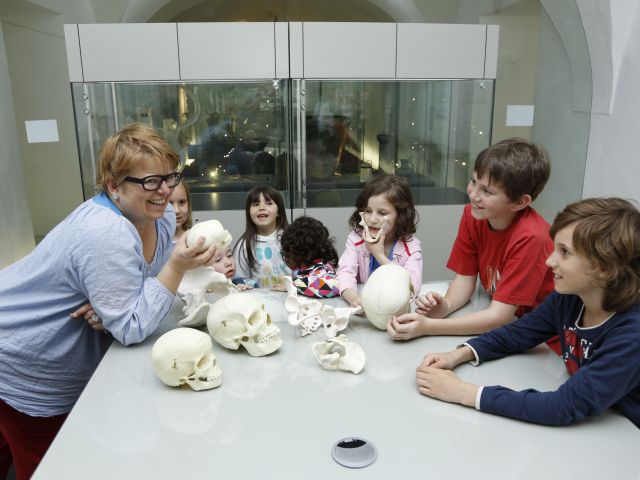 Eine Frau zeigt einer Gruppe von Kindern, die in einem Museum oder Klassenzimmer um einen Tisch mit verschiedenen Schädelmodellen sitzen, ein menschliches Schädelmodell.