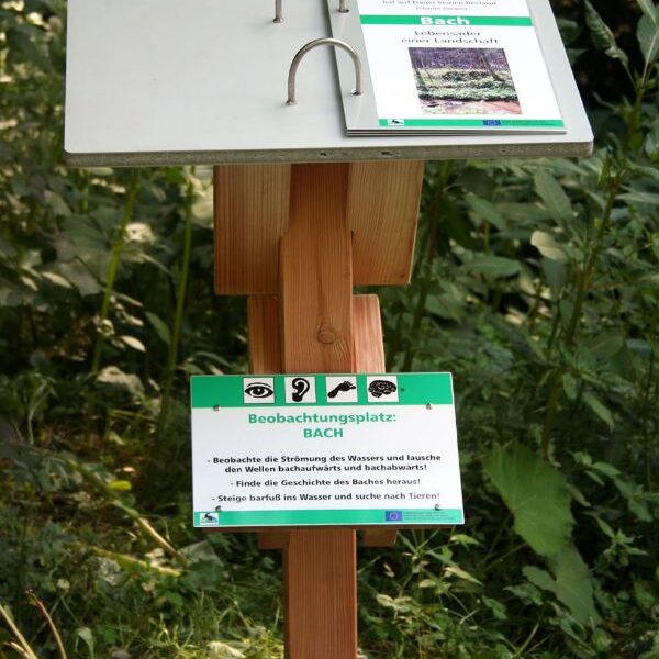 Ein hölzerner Ständer hält einen aufgeschlagenen Ordner und ein Informationsschild in deutscher Sprache über die Beobachtung des Baches, der sich im Freien befindet, mit Grün im Hintergrund.