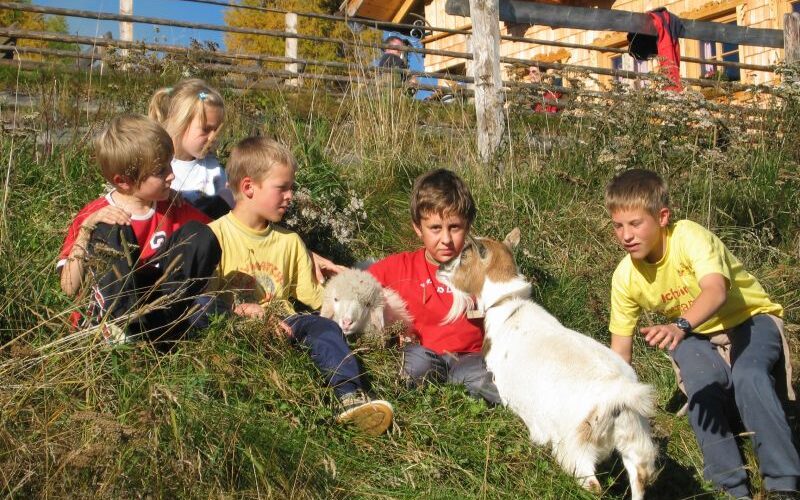 Fünf Kinder sitzen auf einem grasbewachsenen Hügel und streicheln eine Ziege und ein Lamm. Im Hintergrund sind ein Holzzaun und ein Haus zu sehen.