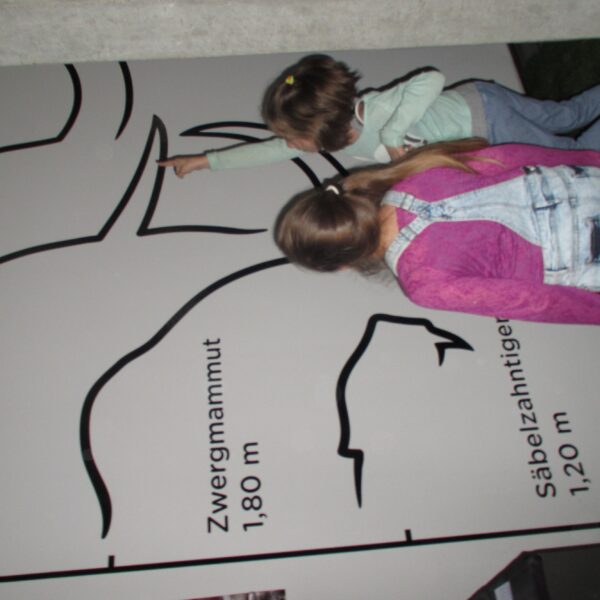 Zwei Kinder zeigen auf einen illustrierten Größenvergleich von Tieren an einer Wand, darunter ein Indischer Elefant, ein Zwergmammut und ein Säbelzahntiger, wobei ihre Körpergrößen angegeben sind.