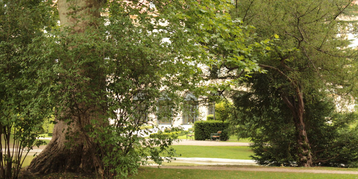 Eine grasbewachsene Parkfläche mit großen Bäumen, belaubten Sträuchern und einer entfernten Bank in der Nähe eines Weges; im Hintergrund ist ein helles Gebäude zu sehen.