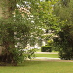 Eine grasbewachsene Parkfläche mit großen Bäumen, belaubten Sträuchern und einer entfernten Bank in der Nähe eines Weges; im Hintergrund ist ein helles Gebäude zu sehen.