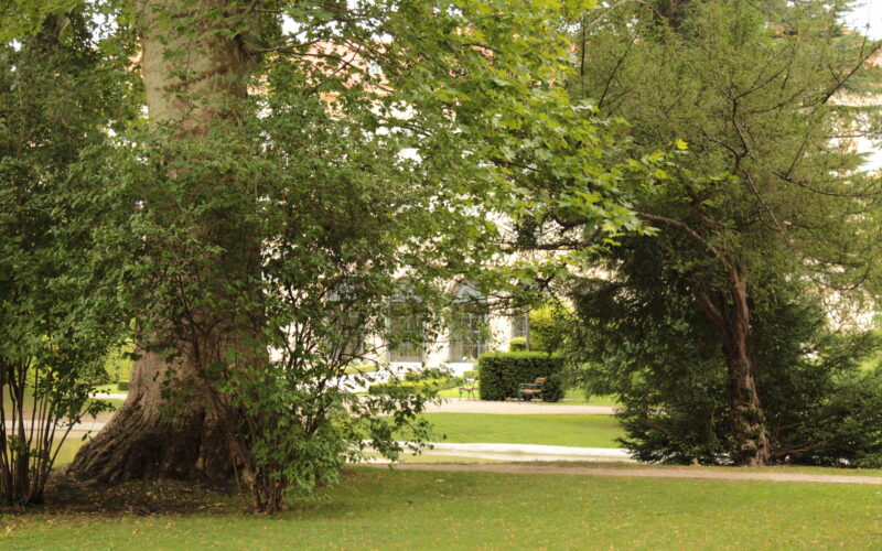 Eine grasbewachsene Parkfläche mit großen Bäumen, belaubten Sträuchern und einer entfernten Bank in der Nähe eines Weges; im Hintergrund ist ein helles Gebäude zu sehen.