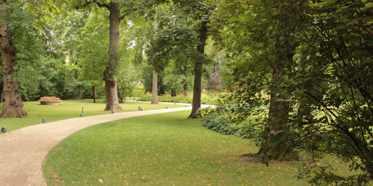 An einem bewölkten Tag führt ein geschwungener Schotterweg durch einen grünen Park mit hohen Bäumen, Gras und Büschen.