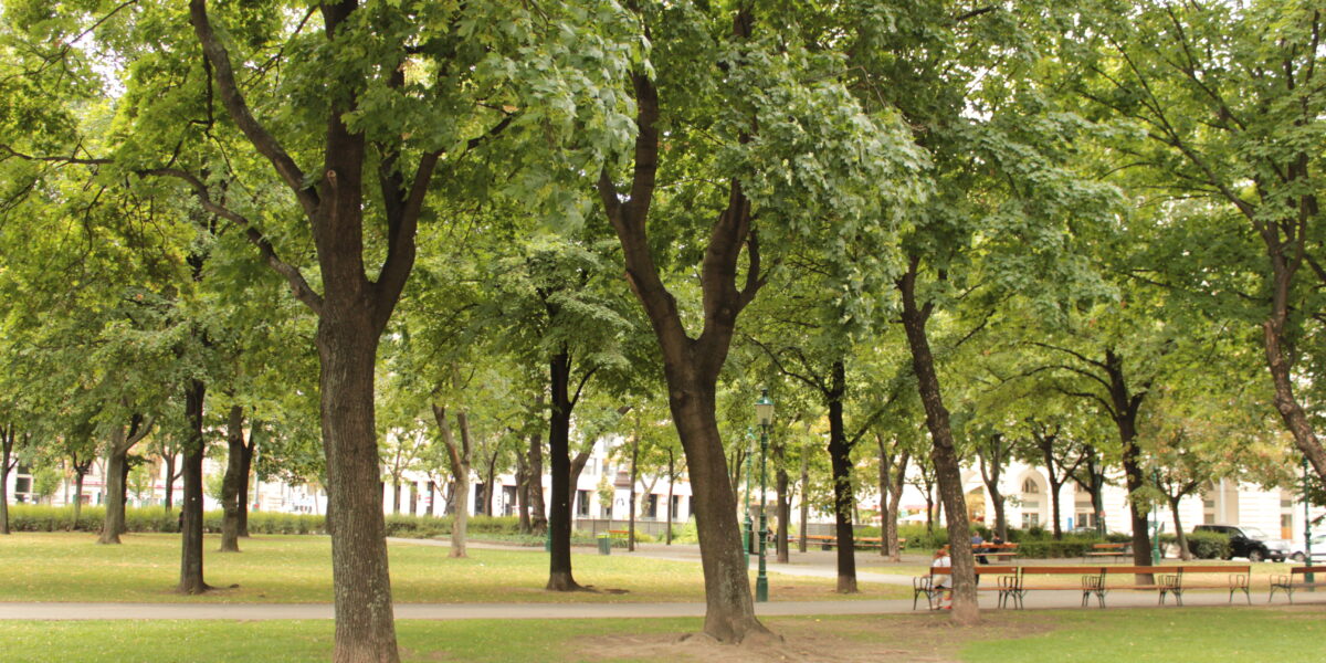 Ein Park mit grünem Gras und hohen Bäumen, im Hintergrund ein Feldweg, Bänke und ein paar sitzende Menschen.