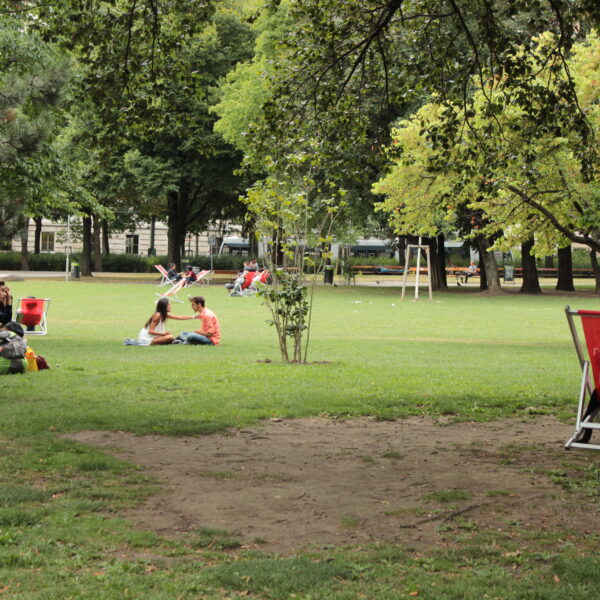 Menschen sitzen und entspannen auf Liegestühlen und Gras in einem grünen Stadtpark mit vereinzelten Bäumen und offenen Rasenflächen.