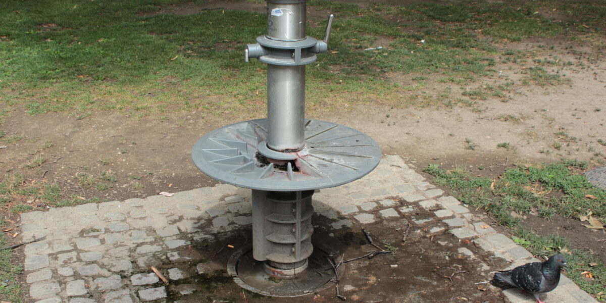Auf einem Kopfsteinpflaster mit nassen Stellen steht eine öffentliche Wasserpumpe aus Metall; in der Nähe läuft eine Taube auf dem Gras.
