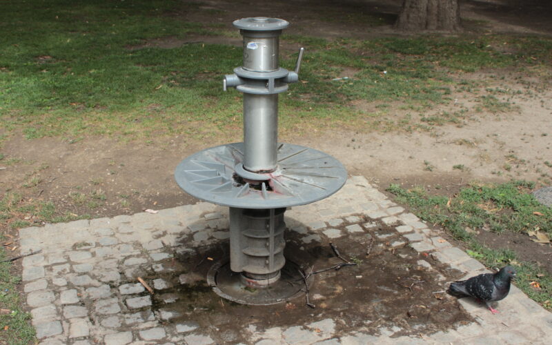 Auf einem Kopfsteinpflaster mit nassen Stellen steht eine öffentliche Wasserpumpe aus Metall; in der Nähe läuft eine Taube auf dem Gras.