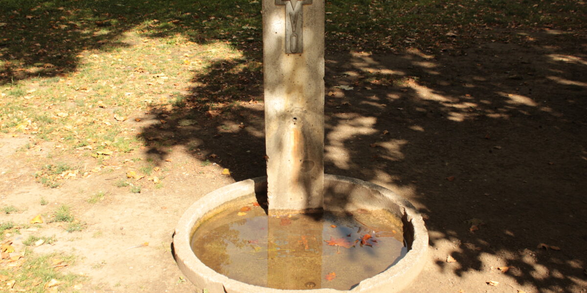 Ein Trinkbrunnen aus Beton im Freien steht über einem flachen, runden Becken, das mit Wasser und Laub gefüllt ist und von Gras und Erdflecken umgeben ist.