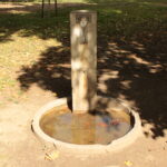 Ein Trinkbrunnen aus Beton im Freien steht über einem flachen, runden Becken, das mit Wasser und Laub gefüllt ist und von Gras und Erdflecken umgeben ist.