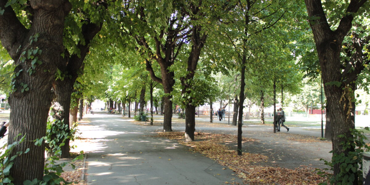 Ein von Bäumen gesäumter Parkweg mit verstreuten trockenen Blättern auf dem Boden und mehreren Spaziergängern im Hintergrund.