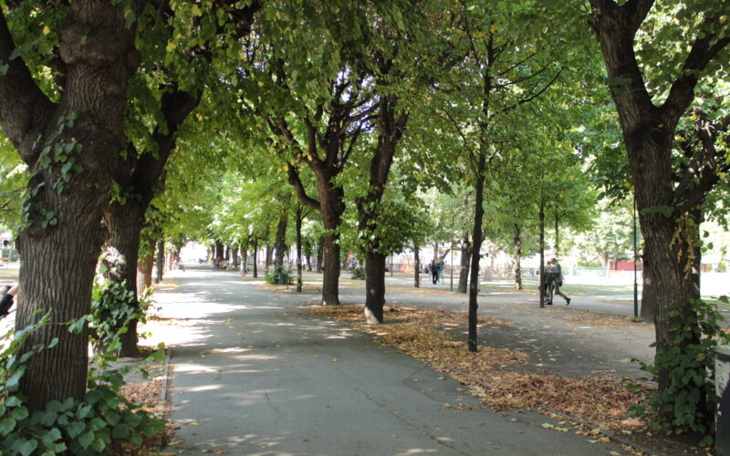 Ein von Bäumen gesäumter Parkweg mit verstreuten trockenen Blättern auf dem Boden und mehreren Spaziergängern im Hintergrund.