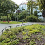 Ein kleiner Stadtpark mit grünen Sträuchern, Bäumen, einem gepflasterten Weg, großen Steinen und einer Metallkonstruktion mit dunklem, nestartigem Aussehen auf Stelzen. Im Hintergrund sind Wohnhäuser zu sehen.