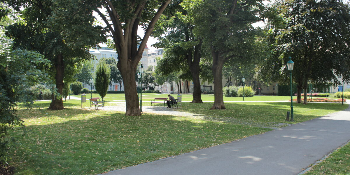 Ein gepflasterter Weg führt durch einen Park mit grünem Gras, hohen Bäumen, Bänken und einer Person, die im Schatten auf einer Bank sitzt. Im Hintergrund sind Gebäude zu sehen.