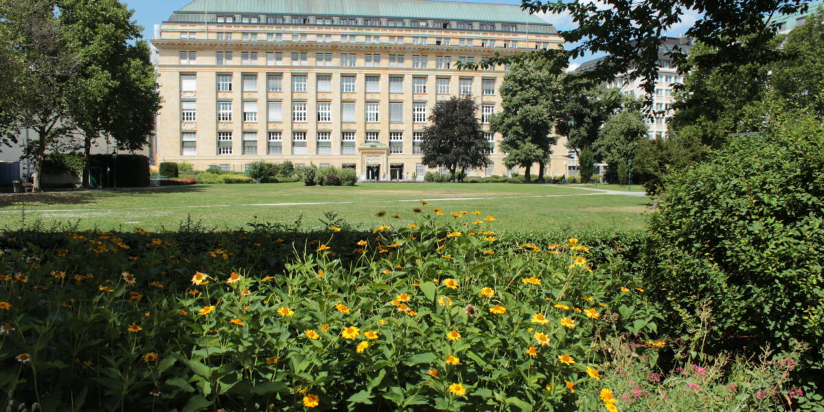 An einem sonnigen Tag steht hinter einem grünen Rasen und gelben Blumen ein großes, beiges Steingebäude mit vielen Fenstern.