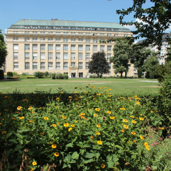 An einem sonnigen Tag steht hinter einem grünen Rasen und gelben Blumen ein großes, beiges Steingebäude mit vielen Fenstern.