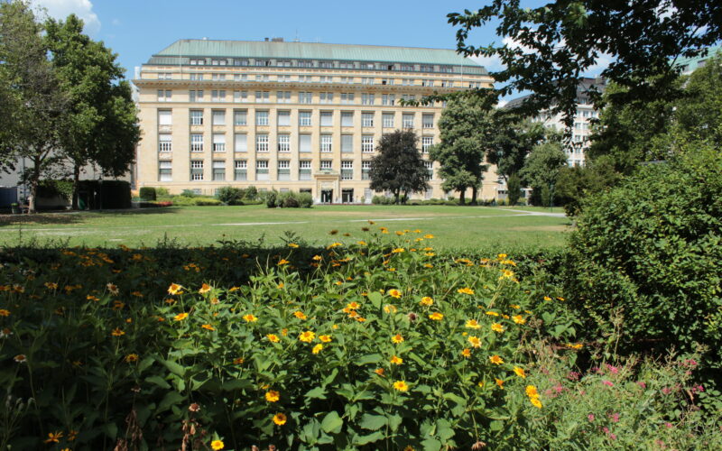 An einem sonnigen Tag steht hinter einem grünen Rasen und gelben Blumen ein großes, beiges Steingebäude mit vielen Fenstern.